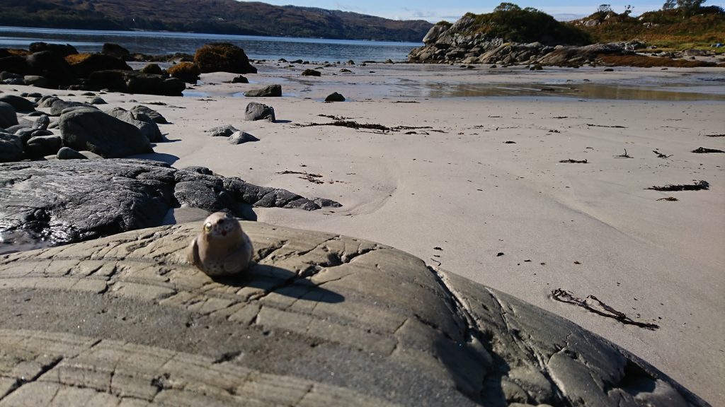 Loch Ailort and The Sound of Arisaig