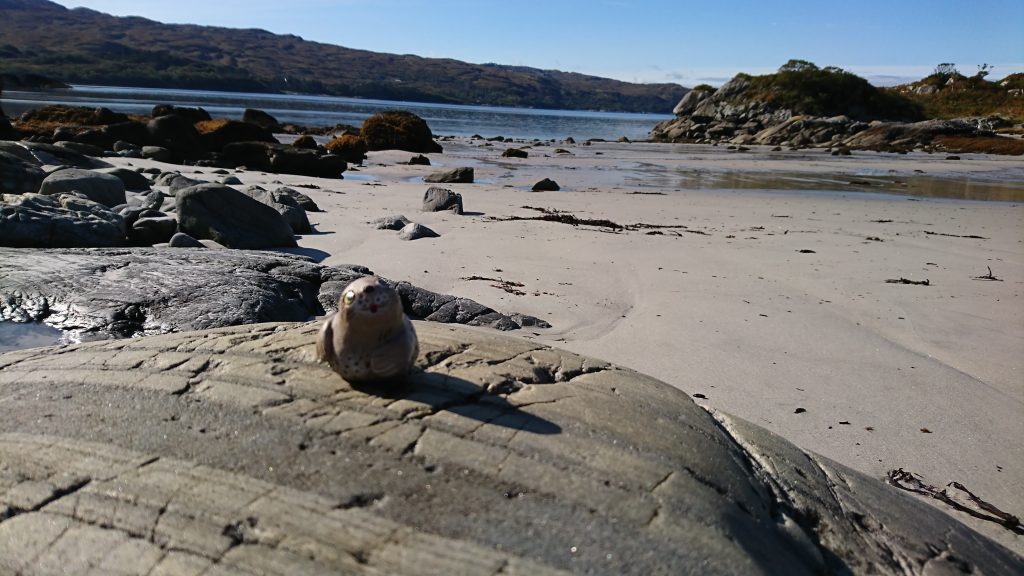 Loch Ailort and The Sound of Arisaig