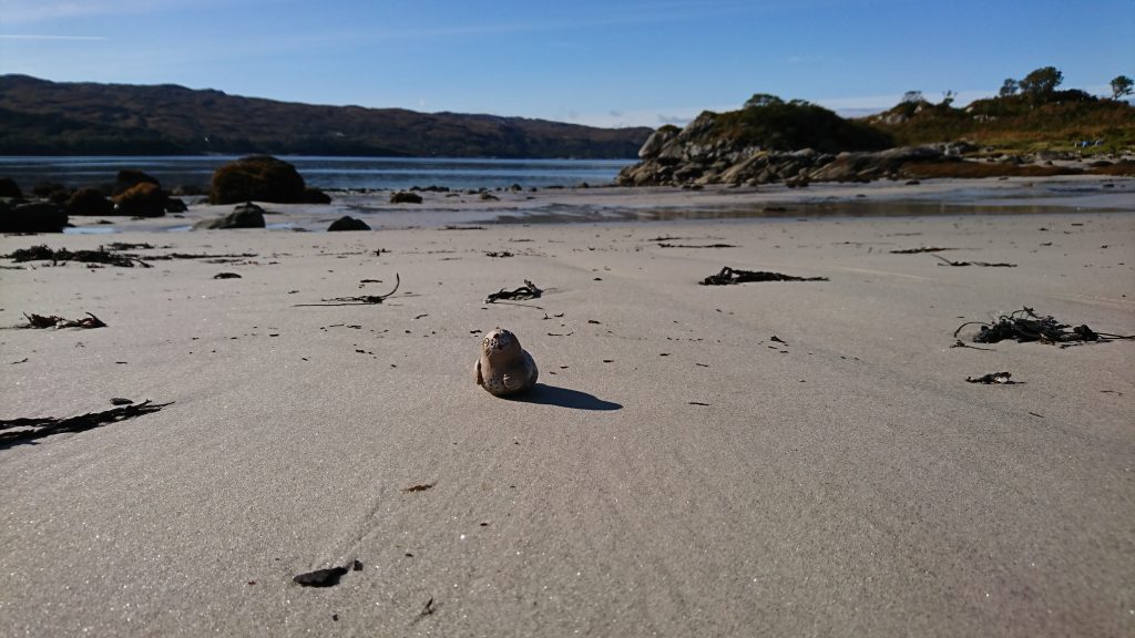 Loch Ailort and The Sound of Arisaig