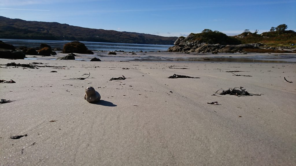 Loch Ailort and The Sound of Arisaig