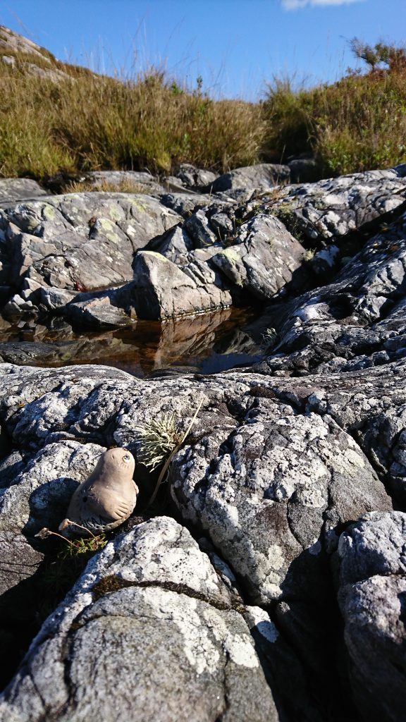 Nina is exploring rock pools