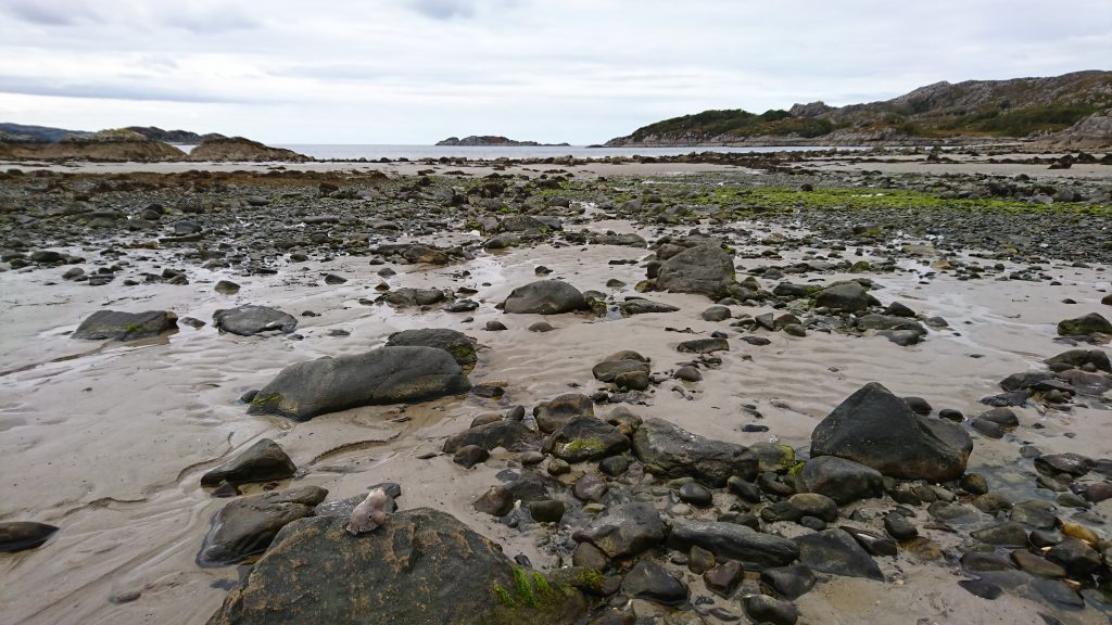 Nina the Nerpa is admiring Loch Ailort and the Sound of Arisaig