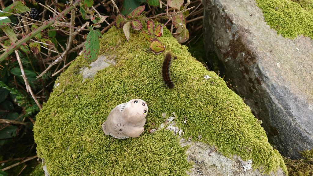 Nina has found a furry little friend