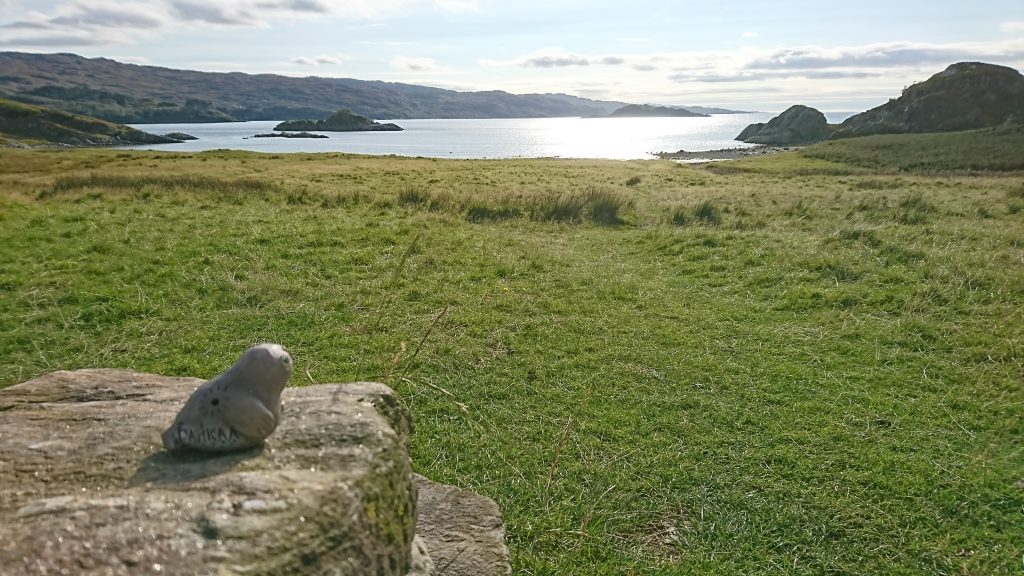 Nina enjoying sundown on the Sound of Arisaig