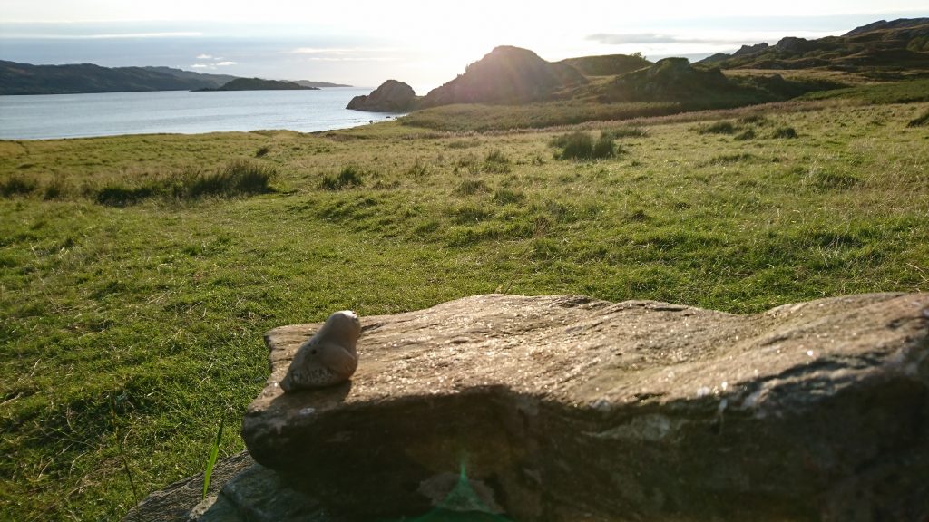 Nina enjoying sundown on the Sound of Arisaig