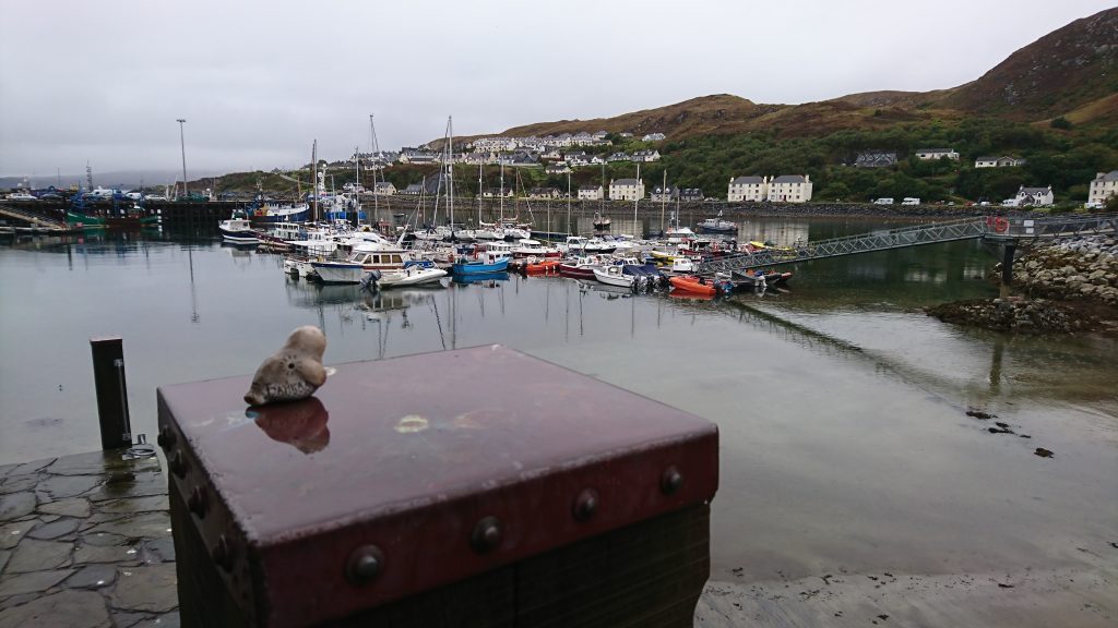 Nina is admiring Mallaig