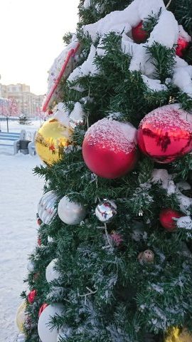Festive Decorations in Novosibirsk
