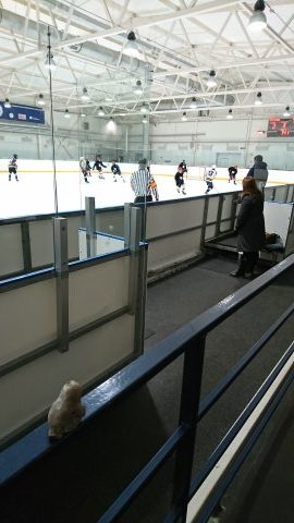 Ice Hockey Spectating