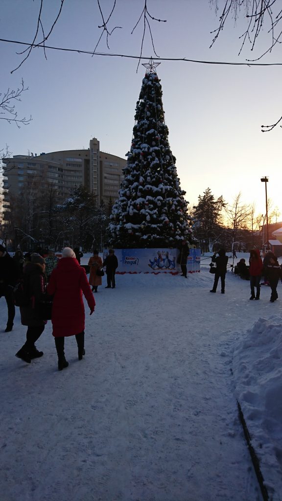 Christmas Tree in Central Park, Novosibirsk