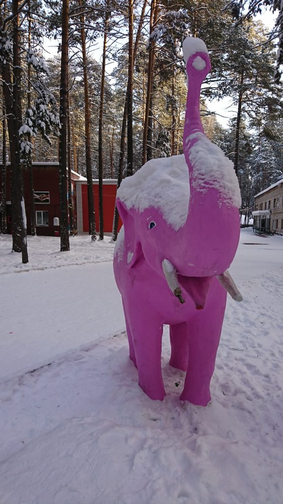 Nina playing with a pink pal in the woods