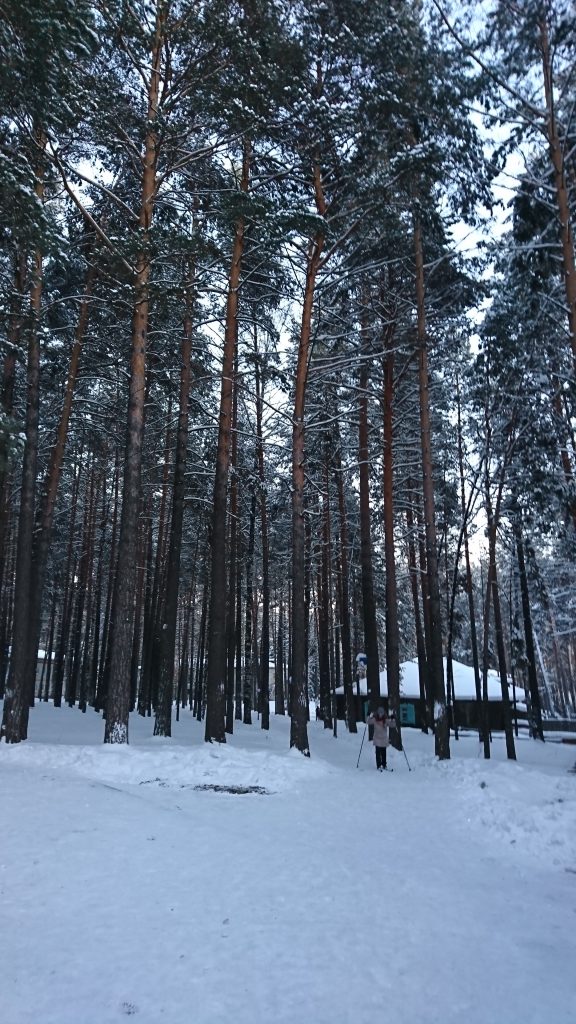 Nordic Skiing in the camp grounds