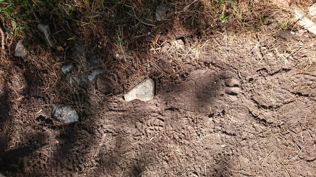Footprint on the path to Belukha