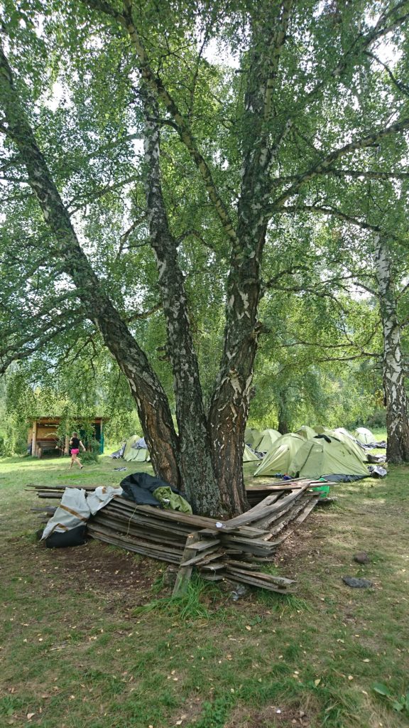 The Three Birches Campsite