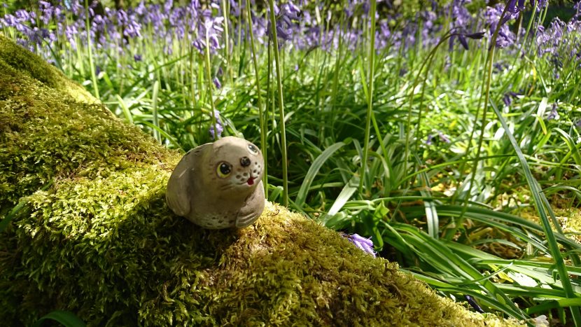 Walk in the woods in Spring - on a mossy perch